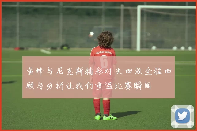 黄蜂与尼克斯精彩对决回放全程回顾与分析让我们重温比赛瞬间